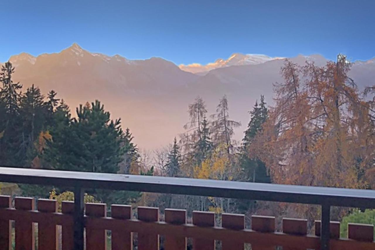 Les Mayens De L'Ours - At The Foot Of Piste De L'Ours' Slope! Agettes 외부 사진